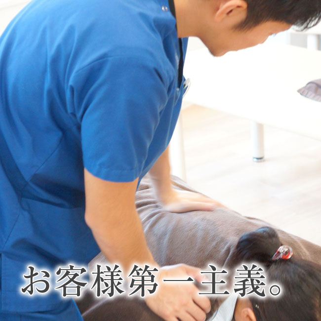 新宿整骨院 | 新宿ライオンハート整骨院≪保険取扱い≫